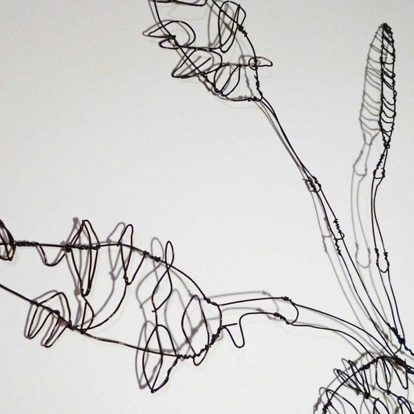SALE REDUCED - Wire Banksia