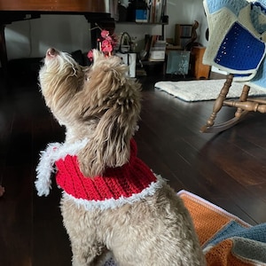 Christmas Dog Scarf Crochet Pattern: PDF Download Only; Holiday Dog Accessory; Crochet Dog Scarf Pattern