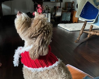 Christmas Dog Scarf Crochet Pattern: PDF Download Only; Holiday Dog Accessory; Crochet Dog Scarf Pattern