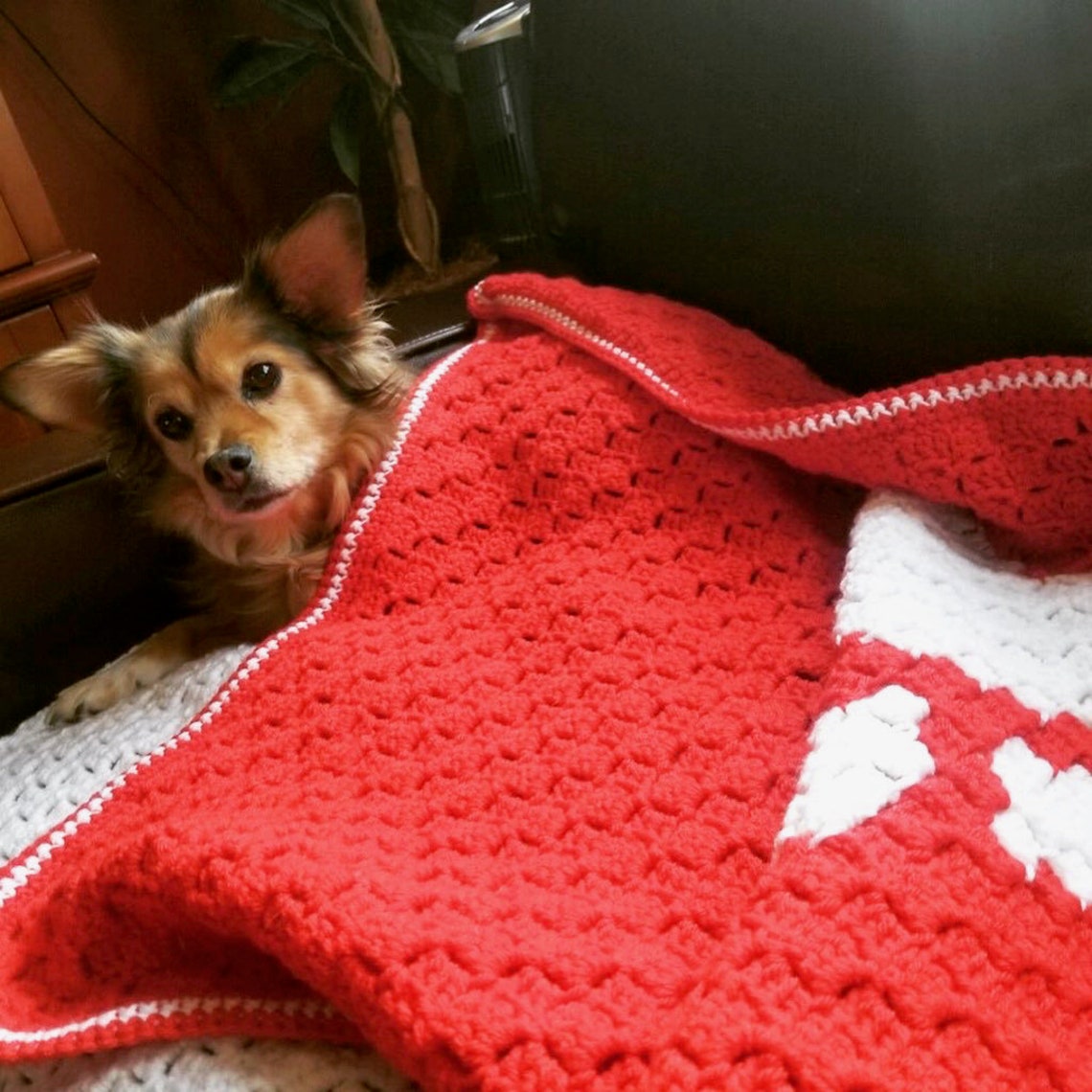 Puppy Love Dog Blanket Crochet Pattern by Madamestitch PDF Etsy