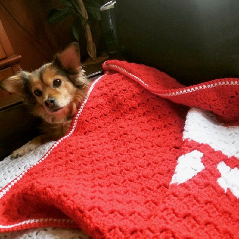 May include: A brown and white dog peeks out from under a red crocheted blanket with white trim. The blanket has a white crocheted design in the center.