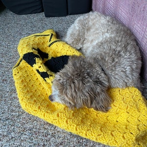 May include: A small, light brown dog is curled up on a yellow crocheted blanket with black accents. The blanket has a honeycomb pattern.
