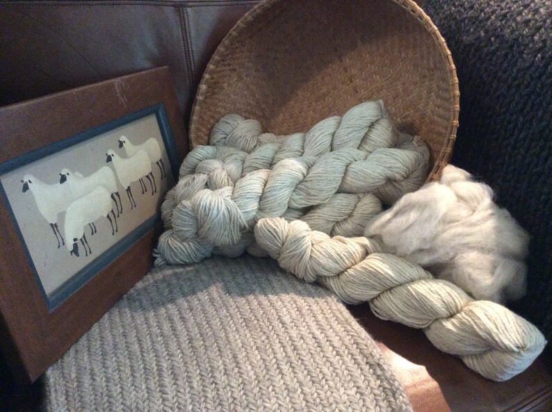 FREE SHIPPING Icelandic lambMerinoSilk 3 ply Worsted yarn 200 ydsskein ivory Reduced price Soft!