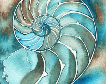 Nautilus - print of detailed watercolour artwork in turquoise olive green aqua blue and rustic earth tones, sea shell ocean theme water art