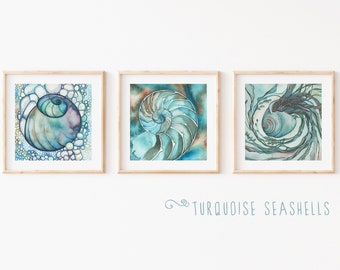 Set of 3 Seashell watercolour paper prints, your choice! Beach home, ocean lover, coastal living, beach life, nature house, (without frame)