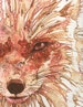 Fox - print of watercolour painting in red rust orange vibrant colour painted, dog art watercolor artwork woodland forest whimsical animal 