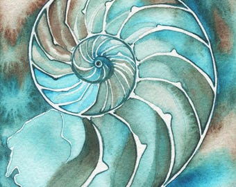 Impresión en acuarela de concha de nautilus: tonos turquesa, oliva y tierra