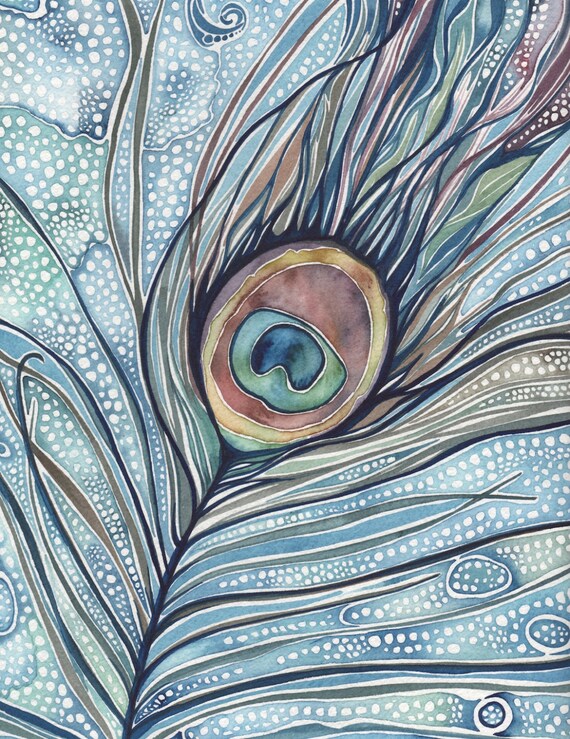 Peacock Feather 8.5 x 11 print of detailed hand painted Etsy