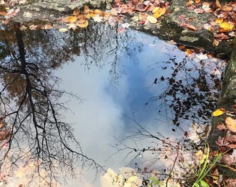 Reflected
