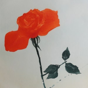 Charlotte Reine &quot;Rose&quot; Original Signed Etching (1981)
