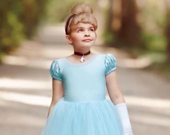 Clearance Item - Ready to Ship - Girl's Cinderella Inspired Costume, Cinderella Dress, Princess Birthday Dres -  Short LongTulle Dress