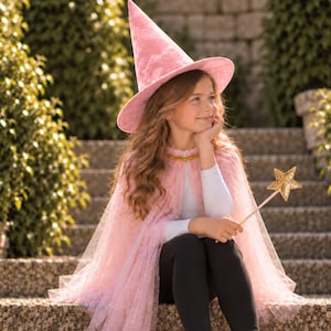 May include: A light pink pointed hat with a wide brim and a matching sheer pink cape featuring a subtle glittery texture. The cape is fastened at the neck with a gold-toned collar detail. A gold glittery star wand is held in one hand.