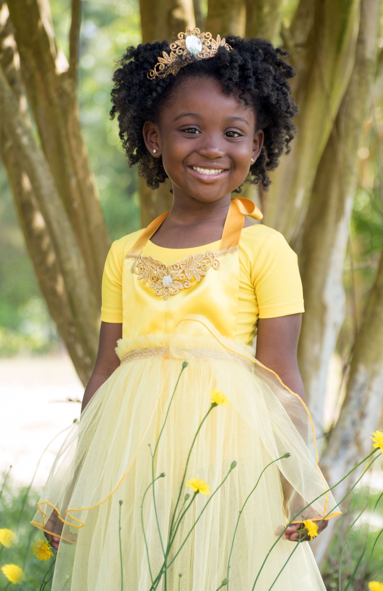 Princess Dress Belle Beauty And The Beast Dress Apron And Crown Birthday Outfit Princess Dress Belle Beauty And The Beast Dress Apron And Crown Birthday Outfit