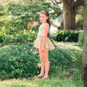 Girl&#39;s Fairy Costume, Fairy Princess Leotard, Fairy Dress Costume Set with Options - Green