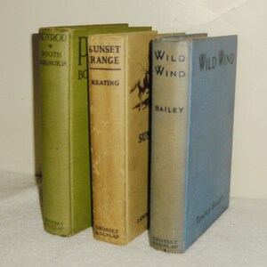 Wild Wind- Bailey, Sunset Range- Keating, Penrod - Tarkington ~ Grosset & Dunlap Antique Hardcovers