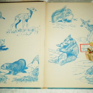 May include: A vintage children's book with blue illustrations of various animals, including a deer, a squirrel, a bear, a beaver, and a otter. The book has a white background and is open to a page with a blue illustration of a deer and a squirrel.