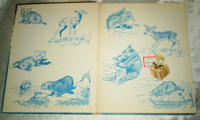 May include: A vintage children's book with blue illustrations of various animals, including a deer, a squirrel, a bear, a beaver, and a otter. The book has a white background and is open to a page with a blue illustration of a deer and a squirrel.