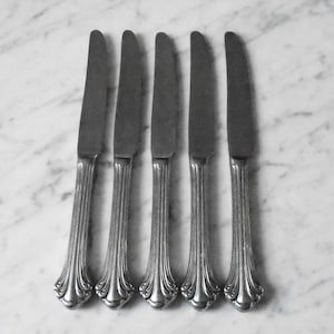 5 Royal Gallery Stainless 9 3/8 inch Hollow Handle Dinner Knives