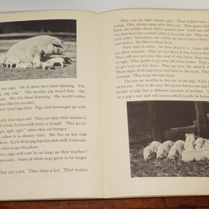 Peut inclure: Une photo en noir et blanc d'une famille de cochons. La m&egrave;re est debout sur ses pattes avant, tandis que les porcelets sont allong&eacute;s. Le texte de l'image dit : "C'est une famille de dix cochons. Ils ont tous dormi. Le fermier a appel&eacute; : 'Cochon, cochon, cochon !' La m&egrave;re a entendu. Elle s'est lev&eacute;e sur ses pattes avant. Elle est assise l&agrave; &agrave; &eacute;couter. Elle pr&eacute;f&eacute;rerait dormir. Les vaches se l&egrave;vent avec leurs pattes arri&egrave;re en premier. Les cochons et les chevaux se l&egrave;vent avec leurs pattes avant en premier."