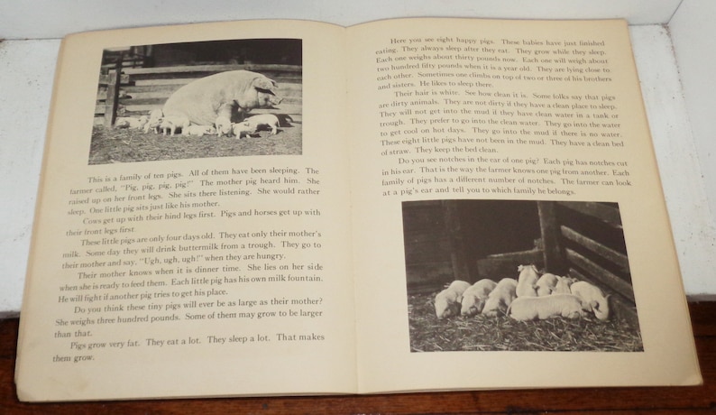 Peut inclure: Une photo en noir et blanc d'une famille de cochons. La m&egrave;re est debout sur ses pattes avant, tandis que les porcelets sont allong&eacute;s. Le texte de l'image dit : "C'est une famille de dix cochons. Ils ont tous dormi. Le fermier a appel&eacute; : 'Cochon, cochon, cochon !' La m&egrave;re a entendu. Elle s'est lev&eacute;e sur ses pattes avant. Elle est assise l&agrave; &agrave; &eacute;couter. Elle pr&eacute;f&eacute;rerait dormir. Les vaches se l&egrave;vent avec leurs pattes arri&egrave;re en premier. Les cochons et les chevaux se l&egrave;vent avec leurs pattes avant en premier."