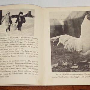 Peut inclure: Deux enfants v&ecirc;tus d'habits d'hiver ramassent des &oelig;ufs dans un panier. Un coq blanc chante en arri&egrave;re-plan. Le texte dit : "Regardez le grand coq blanc chanter. Il dit : 'Coq-a-doodle-doo !' Cela signifie : 'Regardez-moi. Je suis heureux. Je suis fier.'"