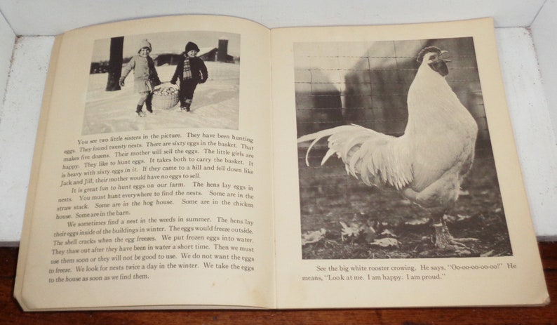 Peut inclure: Deux enfants v&ecirc;tus d'habits d'hiver ramassent des &oelig;ufs dans un panier. Un coq blanc chante en arri&egrave;re-plan. Le texte dit : "Regardez le grand coq blanc chanter. Il dit : 'Coq-a-doodle-doo !' Cela signifie : 'Regardez-moi. Je suis heureux. Je suis fier.'"