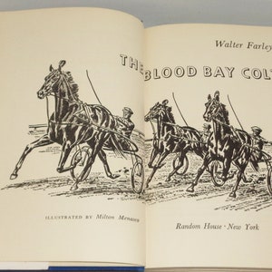 K&ouml;nnte beinhalten: Schwarzwei&szlig;-Illustration eines Pferderennens. Drei Pferde ziehen Kutschen mit Fahrern. Der Text "The Blood Bay Colt" steht oben auf der Seite. Der Text "Illustrated by Milton Menasco" steht unten auf der Seite.