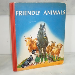Our Friendly Animals and Whence They Came 1938 Hard Cover Book by Karl Patterson Schmidt, Illustrated by Walter Alois Weber, MA Donahue & Co
