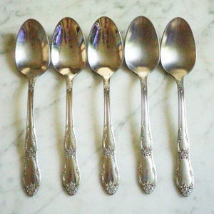 WmA Rogers Oneida Fenway Daydream Stainless Steel Set of 5 Teaspoons
