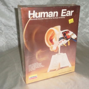 May include: A plastic model of the human ear, showing the outer, middle, and inner ear. The model is anatomically accurate and is designed for the study of hearing. The box is labeled "Human Ear" and "Anatomically Accurate Plastic Kit for the Study of Hearing".