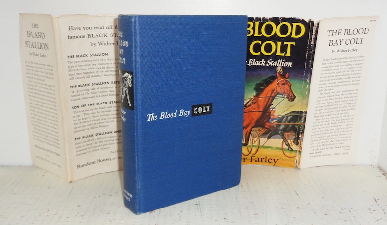 K&ouml;nnte beinhalten: Ein Satz von drei Vintage-Taschenb&uuml;chern aus der Black Stallion-Reihe von Walter Farley. Die B&uuml;cher tragen die Titel "The Island Stallion", "The Blood Bay Colt" und "The Blood Bay Colt - Black Stallion". Die Cover zeigen Illustrationen von Pferden.
