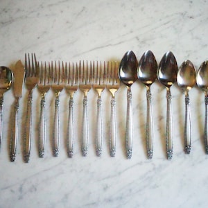 National Stainless Japan Rose Border Dinner / Salad Forks, Table Soup Spoons & teaspoons