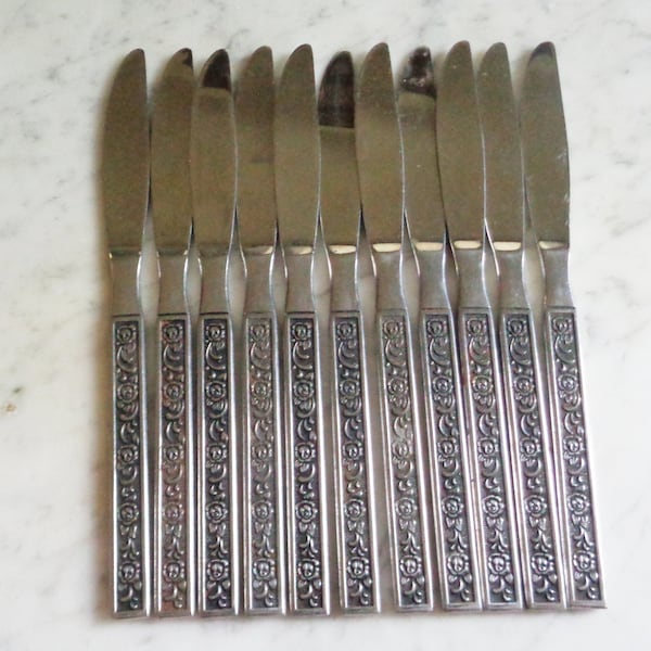 National Stainless Japan Costellano 8 7/8 inch Set of 11 Dinner Knives