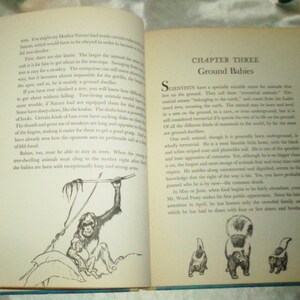 May include: A vintage book open to a page titled "Ground Babies" with black and white illustrations of a monkey holding a baby monkey and a skunk with a baby skunk. The text discusses how animals that live on the ground are called "ground dwellers".