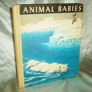 May include: A vintage book titled "Animal Babies" with a cover image of two polar bears swimming in blue water with icebergs in the background. The book cover is cream colored with black text.