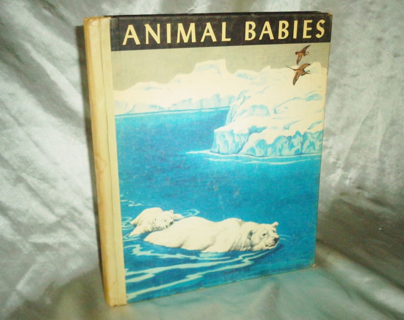 May include: A vintage book titled "Animal Babies" with a cover image of two polar bears swimming in blue water with icebergs in the background. The book cover is cream colored with black text.