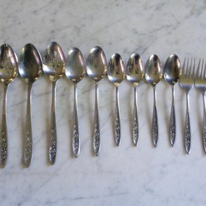 Country Garden Ekco Eterna Stainless Steel Japan Serving Spoons, Salad Fork, Table Soup Spoons & Teaspoons