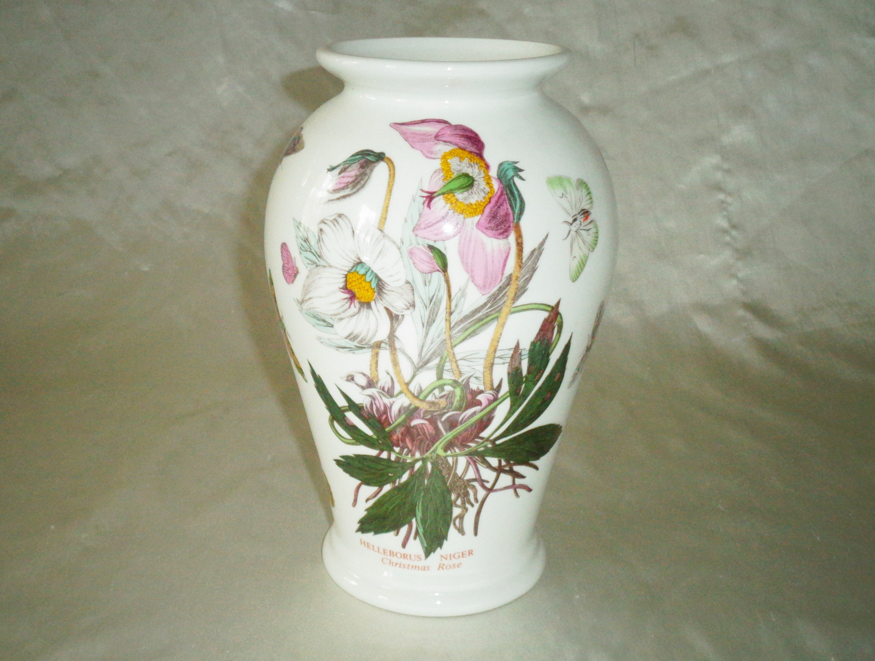 Botanic Garden 1972 Portmeirion Helleborus Niger Christmas Rose