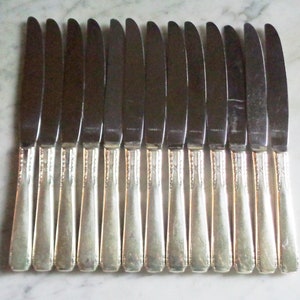 13 Banbury Brookwood Wm A Rogers A1 Plus Oneida Silver Plate Dinner Knives