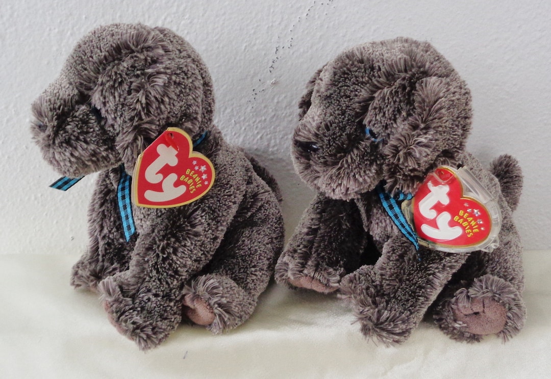 2001 Ty Beanie Babies 2 Frisbee Dog Birthday June 29, 2001 W Error