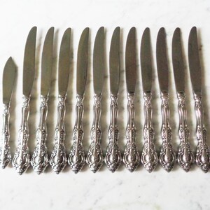 Oneida Cube Stainless Michelangelo 11 Dinner Knives & 1 Master Butter