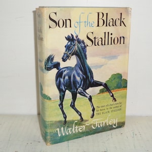 Sohn des Black Stallion 1947 Zwölfter Druck KW Buch mit DJ von Walter Farley Randy
