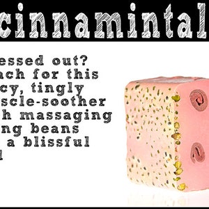 Cinnamintal Soap. Fair Trade Organic Vegan Cruelty-Free Cosmetics. 5% of Proceeds Proudly Go To Grassroots Charities