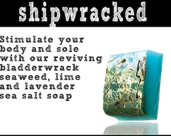 Shipwracked Soap. Fair Trade Organic Vegan Cruelty-Free Cosmetics. 5% of Proceeds Proudly Go To Grassroots Charities