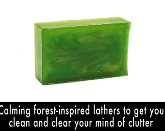 Pine in the Aspen Body + Hand Soap. Organic Vegan Fair Trade & Cruelty-Free.