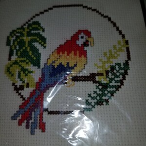 80's Singer PARROT counted cross stitch yarn Needlepoint 5x5 Cute Red Blue MACAW Barn owl country Crosstitch embroidery thread cockatoo BIRD