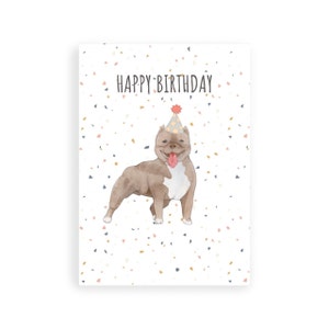 Pitbull Bikini Birthday Card 