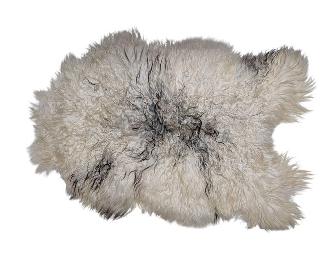 SAL 26-039 - XL Genuine Curly Icelandic Sheepskin Rug Throw