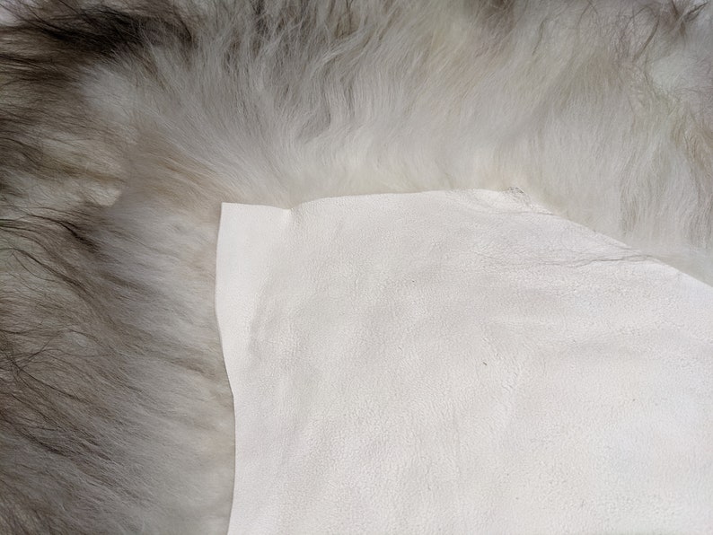 Genuine Icelandic Sheepskin Rug Throw shade of grey image 6