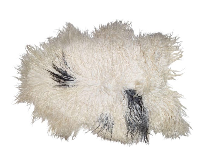 SAL 26-032 - XL Genuine Curly Icelandic Sheepskin Rug Throw